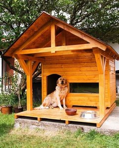 Будка для собаки - постройте дом своему питомцу!
