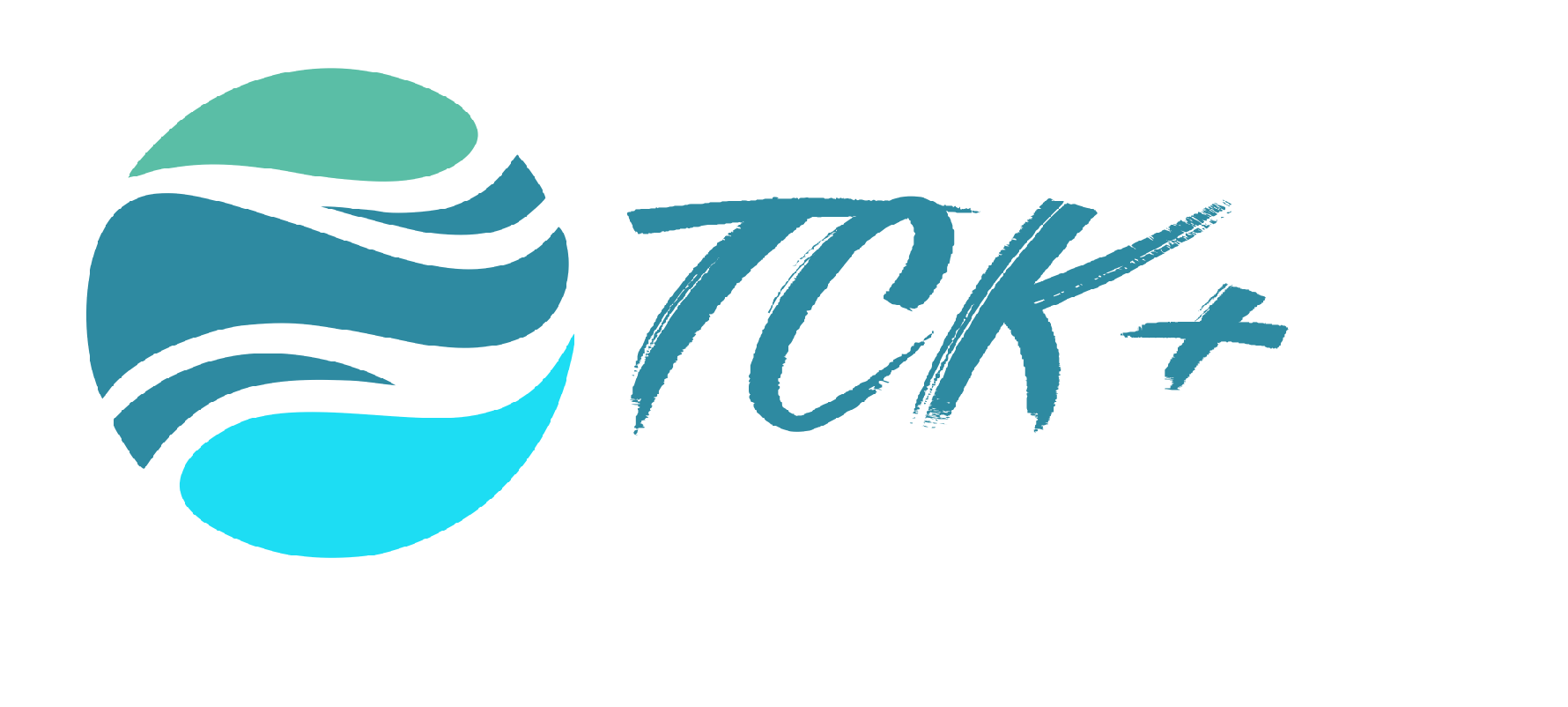 logo tsk+