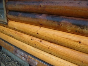 Восстанавливающие средства для древесины