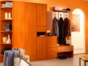 Шкафы для прихожей в Туле - стиль, комфорт, доступная цена!