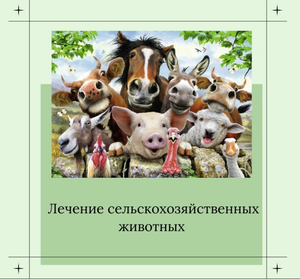 Лечение сельскохозяйственных животных в Оренбурге