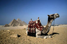 Отдых в Египте - 8дней за 14958рублей на человека!