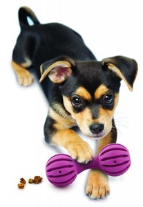 Игрушки для собак и другие товары для животных