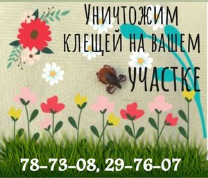 Обработаем ваш дачный участок от клещей в Вологде, Вологодском, Грязовецком, Сокольском и Кирилловском районах.