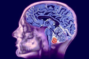 МРТ головного мозга и вен головного мозга в Орске