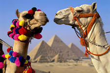 Туры в Египет - 8дней за 20085рублей на человека!