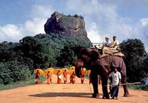 Туры в Шри-Ланку - 10дней за 39740рублей на человека!