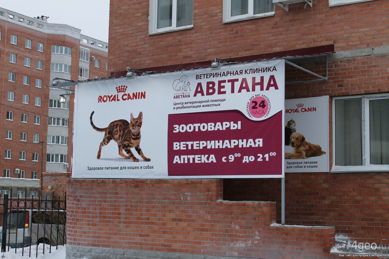 Телефон ветеринарной лечебницы. АВЕТАНА Омск ветеринарная клиника. Ветеринарная клиника баннер. Ветеринарная клиника вывеска. Рекламный баннер ветеринарной клиники.