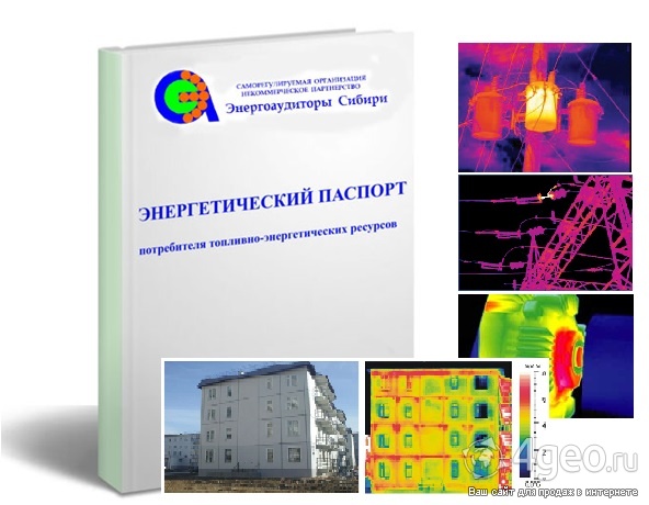 Энергетический паспорт предприятия образец