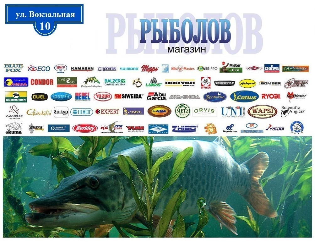 Реклама рыболовного магазина картинки
